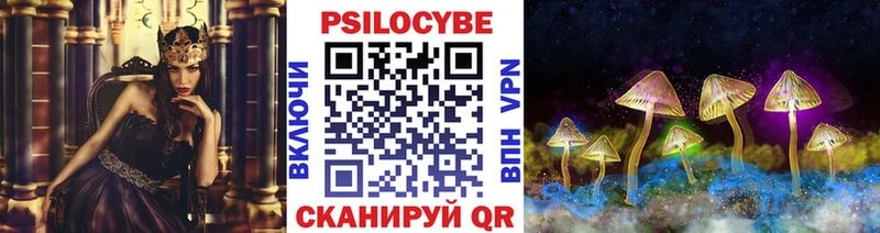 Галлюциногенные грибы мицелий  Нюрба 