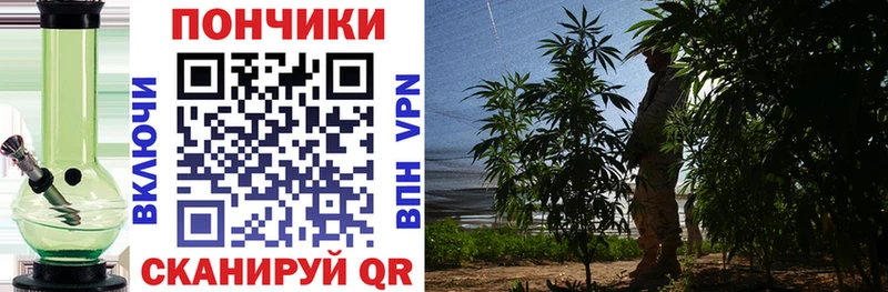купить наркотик  Нюрба  KRAKEN как войти  Бошки Шишки семена 
